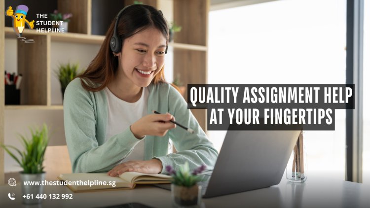 Quality Assignment Help at Your Fingertips