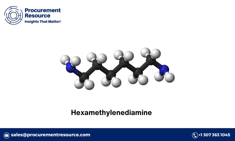 Hexamethylenediamine Manufacturing Plant Project Report: An In-Depth Analysis